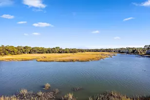 9 Braddock Cv, Hilton Head Island, SC 29928 - Photo 45