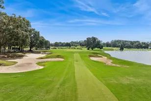 255 Bamberg Dr, Bluffton, SC 29910 - Photo 63