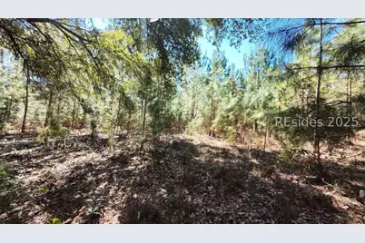 Tbd Firetower Road, Ridgeland, SC 29936 - Photo 17