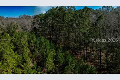 Tbd Firetower Road, Ridgeland, SC 29936 - Photo 19