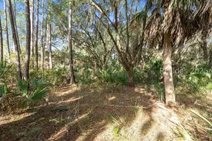 45 Dr Martin Luther King Dr, Saint Helena Island, SC 29920 - Photo 13