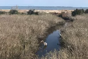 27 Mangrove St, Hilton Head Island, SC 29926 - Photo 29