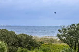 40 Folly Field Rd, Hilton Head Island, SC 29928 - Photo 33