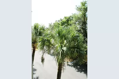 23 S Forest Beach Drive #292, Hilton Head Island, SC 29928 - Photo 13