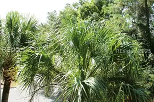 23 S Forest Beach Dr, Hilton Head Island, SC 29928 - Photo 13