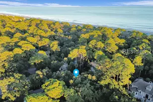 6 Black Skimmer Rd, Hilton Head Island, SC 29928 - Photo 65