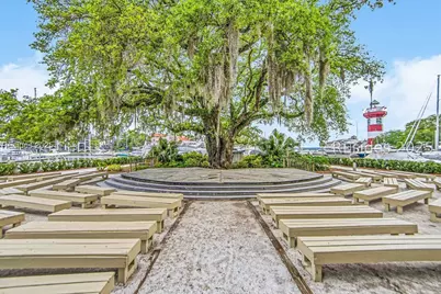 6 Black Skimmer Road, Hilton Head Island, SC 29928 - Photo 77