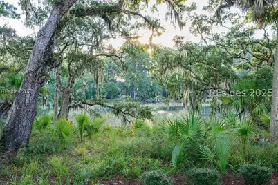 4 Mayon Point, Okatie, SC 29909 - Photo 63