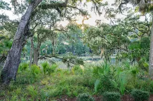 4 Mayon Point, Okatie, SC 29909 - Photo 63