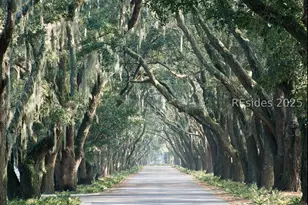 77 Belfair Oaks Blvd, Bluffton, SC 29910 - Photo 69