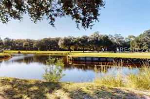 22 Sovereign Dr, Hilton Head Island, SC 29928 - Photo 83