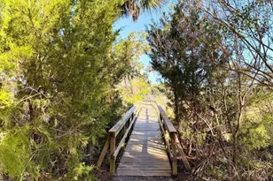 12 Hammock Oaks Cir, Hilton Head Island, SC 29926 - Photo 53