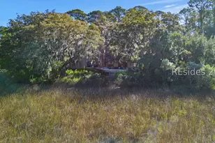 5 Pine Island Rd, Hilton Head Island, SC 29928 - Photo 89