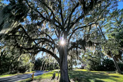 55 Shearwater Drive, Hilton Head Island, SC 29926 - Photo 9