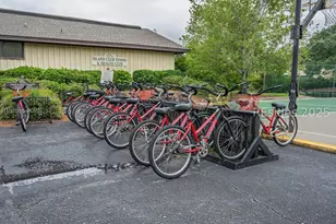 85 Folly Field Rd, Hilton Head Island, SC 29928 - Photo 53