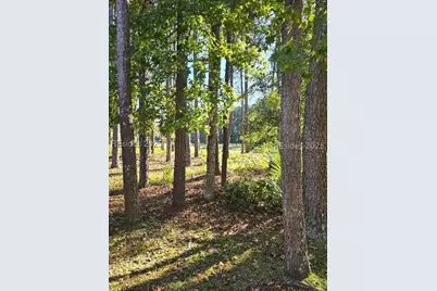 109 General Drayton Street, Bluffton, SC 29909 - Photo 55