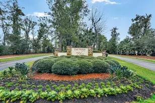 25 Weeping Willow Dr, Bluffton, SC 29910 - Photo 59