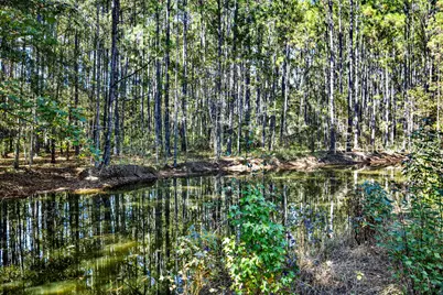 73 School Cut Road, Hardeeville, SC 29927 - Photo 9