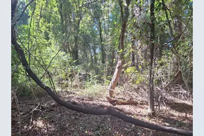 2359 Broughton Street, Orangeburg, SC 29115 - Photo 3