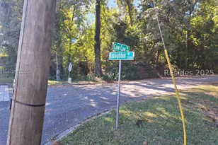 2359 Broughton St, Orangeburg, SC 29115 - Photo 1