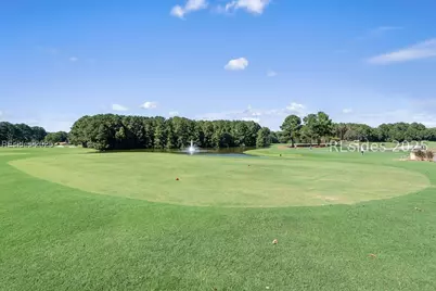 15 Pinyon Drive, Bluffton, SC 29909 - Photo 47