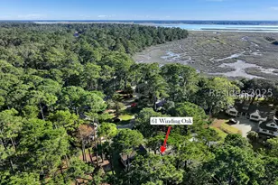 61 Winding Oak Dr, Okatie, SC 29909 - Photo 59