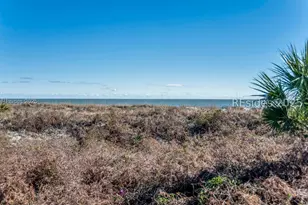 40 Folly Field Rd, Hilton Head Island, SC 29928 - Photo 33