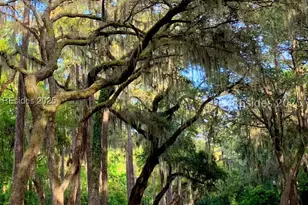 129 Avenue of Oaks, Daufuskie Island, SC 29915 - Photo 21