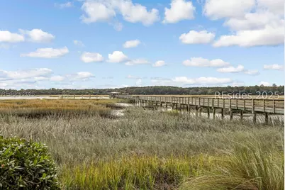 35 Blue Dasher Lane, Bluffton, SC 29909 - Photo 79