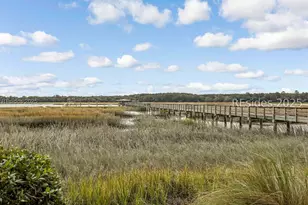 35 Blue Dasher Ln, Bluffton, SC 29909 - Photo 79