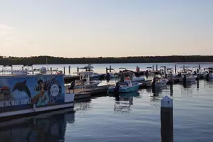 19 Fernwood Trail, Hilton Head Island, SC 29926 - Photo 61