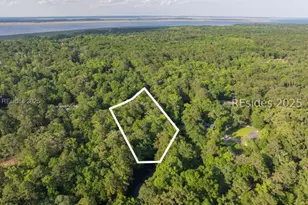 67 Marsh Hawk Dr, Beaufort, SC 29907 - Photo 1
