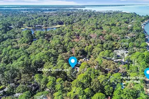 20 China Cockle Ln, Hilton Head Island, SC 29926 - Photo 89