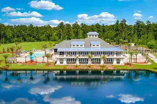 1393 Parrot Ave, Hardeeville, SC 29927 - Photo 75