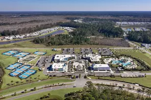 1393 Parrot Ave, Hardeeville, SC 29927 - Photo 79