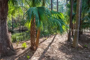 67 Osprey Cir, Okatie, SC 29909 - Photo 51