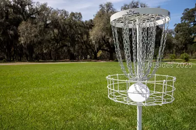 63 Magnolia Lane, Richmond Hill, GA 31324 - Photo 61