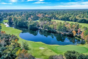11 Sedge Fern Dr, Hilton Head Island, SC 29926 - Photo 49