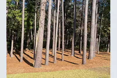 112 Cypress Hollow, Bluffton, SC 29909 - Photo 3