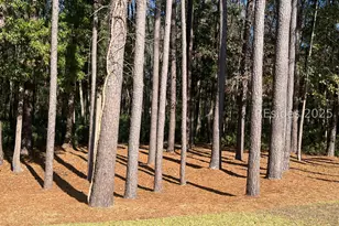 112 Cypress Hollow, Bluffton, SC 29909 - Photo 3