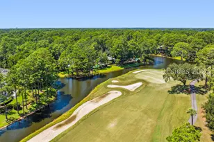 8 Rosebank Ln, Hilton Head Island, SC 29928 - Photo 57