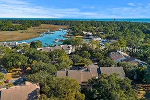 4 Braddock Bluff Dr, Hilton Head Island, SC 29928 - Photo 53