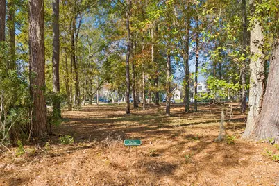 7 Loudon, Beaufort, SC 29906 - Photo 5