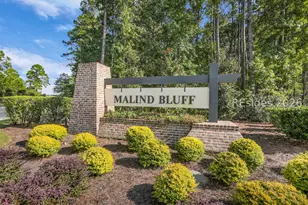 784 Danner Dr, Okatie, SC 29909 - Photo 41