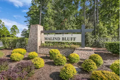 784 Danner Drive, Okatie, SC 29909 - Photo 41