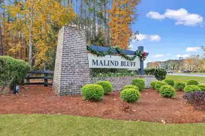 62 Dudley Avenue, Bluffton, SC 29909 - Photo 37