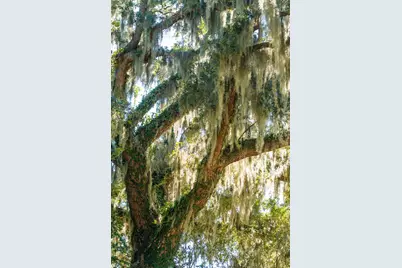 210 Old Plantation Drive, Beaufort, SC 29907 - Photo 67