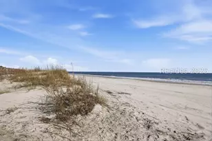 3 Driftwood Ln, Hilton Head Island, SC 29928 - Photo 67