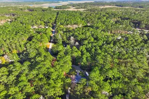 167 Blue Heron Ln, Hardeeville, SC 29927 - Photo 43