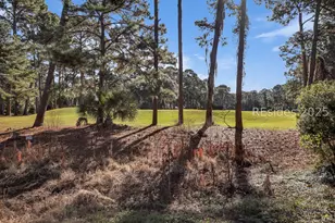 34 Cypress Marsh Dr, Hilton Head Island, SC 29926 - Photo 49